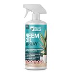 Bloom & Bud Neem Oil Spray for Plants – 500ml Ready-to-Use - A Natural Garden Bug Spray for Plants | Safe, Non-Toxic & Biodegradable Garden