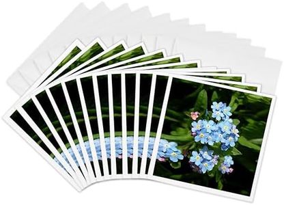 3dRose Forget me not - Greeting Cards, 6 x 6 inches, set of 12 (gc_4193_2)