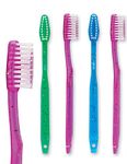 144 Kids Prepasted Toothbrushes Individually Wrapped - Bubblegum Disposable Toothbrushes - NO Water Needed, Just Start Brushing (144 Pack)