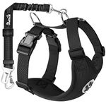 SlowTon Dog Seat Belt Car Harness Set - Adjustable Dog Seatbelt with Carabiner for Most Cars, Breathable Dog Vest Harness Padded with Car Safety Leash for Small Medium Large Dogs Puppy (Black, M)