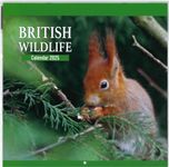 2025 British Wildlife & Birds Month To View Calendar Wall Hanging Nature Themed Family Planner Large Square Organiser (British Wildlife)