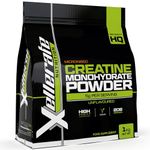 Creatine Monohydrate Powder Micronised - 1kg - 200 Servings - 7 Month Supply - Finest Grade, Pure & Unflavoured - Sports Vegan Powder - Made in The UK - Xellerate Nutrition