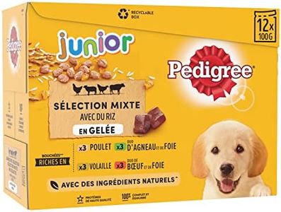 Pedigree J