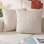 ETASOP Set of 2 Couch Pillows with 