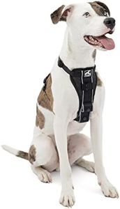 Kurgo Tru-Fit No Pull Dog Harness and Easy Dog Walking Harness with Pet Seatbelt Tether for Car, Black, Medium