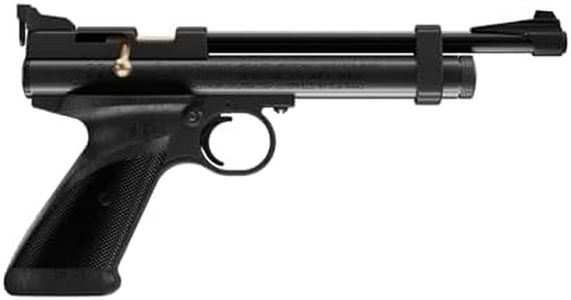 Crosman 22