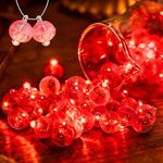FWYWNL LED Balloon Lights with Hook