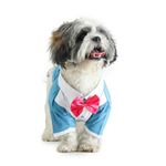 Barks & Wags Dog Suit or Dog Tuxedo, Pet Outfit For Dogs, Dog Clothes, Elegant Dog Costume, Dog Dress For Male and Female Dogs (M, Blue)