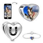 Andska Photo Charms Personalised Fit Pandora Bracelet Bead Custom Add Your Image gift idea for her best Cat Dog Charm Birthday present (Horseshoe alloy)