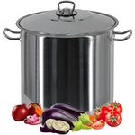 Arian Gastro Large Deep Stainless Steel Induction Stock Pot Casserole Stockpot (21 litre)