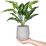 Der Rose 16'' Fake Plants Artificial Potted Greenery Faux Plants for Office Desk Home Bathroom Decor