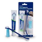 bluestem Dog Tooth Brushing Kit - Dog Toothpaste with Coactiv+ Technology to Help Promote Health Mouth - Easy to Use Dog Teeth Cleaning Kit - Sticky and Thick Texture - Vanilla Mint Flavour