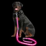 PetIsay Light up Dog Leash for Nigh