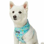 Blueberry Pet Summer Sparkle Dog Harness Vest, Adjustable X-Small Size, Chest Girth 13" - 16", Turquoise, Ocean Fish and Seahorse Print Nautical Pet Harness