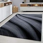 viceroy bedding Rug WAVES Modern Design Black Grey Charcoal Rugs Living Room Extra Large Size Soft Touch Short Pile Style Carpet Area Rugs Non Shedding (80cm x 150cm (3ft x 5ft))