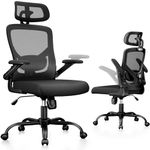 Marsail Ergonomic Mesh Office Chair High Back Desk Chair Adjustable Lumbar Support with Headrest Flip-Up Liftable Arms Swivel Computer Task Chair, Black