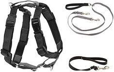 PetSafe 3 in 1 Harness with Two Point Control Leash, No-Pull Harness, Medium, Black, Adjustable