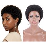 Remeehi African American Wigs