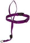 Hamilton HH LGPU 5/8-Inch Large Dog Head Harness, 60 to 130-Pound, Purple