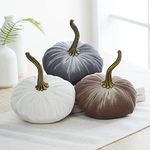 Velvet pumpkins set of 3 small, neutral home decor, fall tablescape, tiered tray centerpiece, elegant gift set for friend, Thanksgiving centerpiece, cozy autumn vibe, hygge home (Gray, Taupe, Ivory)