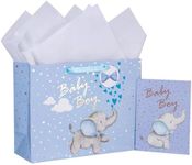 Loveinside Baby Boy Gift Bag Blue E