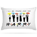 Friends Pillows