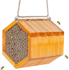 Mason Bee 