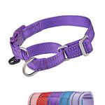 YUDOTE Reflective Martingale Dog Collars Escape-proof Anti-pull Training Coller with Safety Quick Release Buckle for Narrow Head Canines Ease Walking,Medium Purple