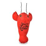 Friends the TV Show Dog Toy Lobster Plush Squeaker | Friends You’re My Lobster Plush Squeaker Pet Toy | Friends Show Toy for Dogs Stuffed Animal 6 inch, Love Themed Dog Toys