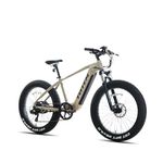 Electric Trail Bikes