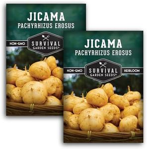 Jicama See