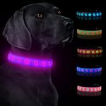 LeZampa Light up Dog Collar Rechargeable, LED Dog Collar Light with 15-in-1 Modes, Night Safety Flashing Dog Collar Lights for the Dark – Adjustable Dog Light up Collar (Small, Blue)