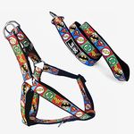 TDIT X�DC Justice League Step-in Easy Walk Dog Harness with Leash (Size Large)