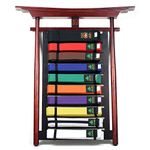 Ace Martial Arts Supply Belt Display (10 Level Wall Mountable)