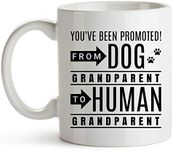 YouNique Designs Dog Grandma to Human Grandma Mug, 11 Ounces, Pregnancy Announcement for Grandparents, Dog Baby Announcement