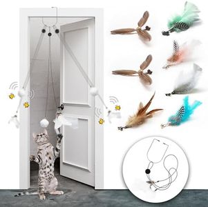 LEKEWPET Retractable cat Feather Toys, 8PCS Feather Replacements with Bell, Interactive Doorway Hanging Teaser Cat Toys for Indoor Cats. Kitten Play Pompom & Feather Teaser.