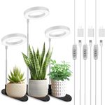 LORDEM Grow Light, 48 LEDs Plant Light for Indoor Plants, Full Spectrum Desk Grow Lamp with Automatic Timer for 4H/8H/12H, 4 Dimmable Levels, Height Adjustable 7.8"-26", 3 Pack