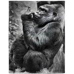 Rstick Gorilla Blanket Funny Animal Orangutan Fleece Blanket Soft Fuzzy Plush Throw Blankets for Couch Bed 60"x80"