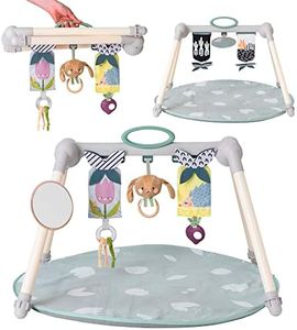 Taf Toys U