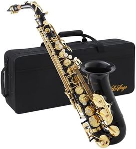 LeSage Alto Saxphone E Flat Black Saxophone for Beginners Student Alto Sax With Carrying Sax Case Adult Saxofon Alto Saxaphone Music Instrument