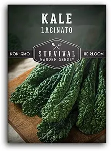 Survival Garden Seeds - Lacinato Kale Seed for Planting - Packet with Instructions to Plant and Grow in Your Home Vegetable Garden - Non-GMO Heirloom Variety
