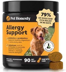 Dog Allerg