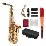 KOCAN Eb Saxophone, Saxophone Sax Eb Be Alto E Flat Brass Carved Pattern on Surface Plastic Mouthpiece Exquisite with Gloves Cleaning Cloth Brush Straps