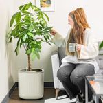 Vego garden Self Watering Pots Home