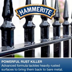 Hammerite Rust Remover Gel 100ml – Fast-Acting Metal Cleaner