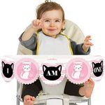 Big Dot of Happiness Purr-FECT Kitty Cat 1st Birthday - I Am One - First Birthday High Chair Banner