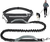 Pet Room Hands Free Dog Lead Waist 