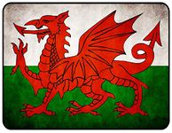 Vintage Retro Man Cave Bar Pub Shed Novelty Gift Aluminium Metal Tin Wall Décor Sign - Rustic Welsh Wales Red Dragon Y Ddraig Goch Flag