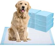 Healqu Puppy Pads - 50-Count, 24x24 - Advanced Leakproof Technology for Housebreaking & Training - Ultra Absorbent Puppy Pee Pads - Ideal for Dogs, Puppies, Cats - Attractant Pet Training Pads