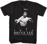 Bruce Lee Martial Artist Defeat is 